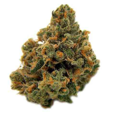 SOUR-DIESEL-MedicalSeedsCo.jpg