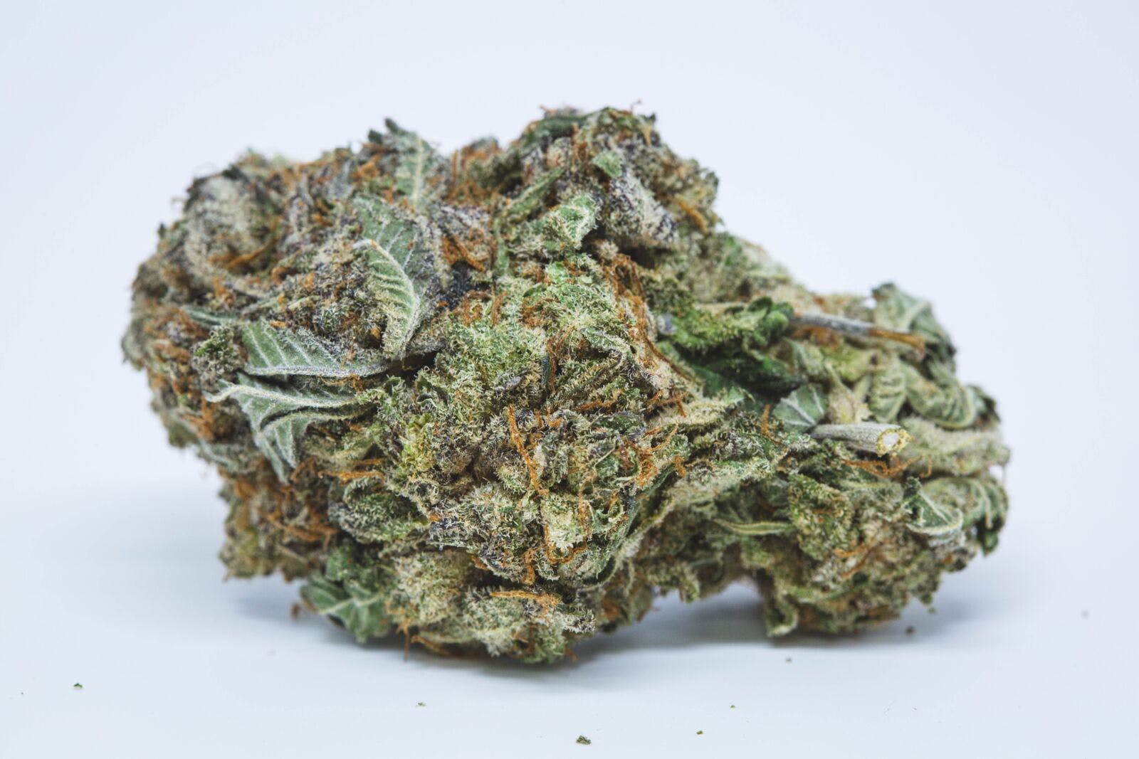 Platinum-Purple-Kush-Marijuana-Strain.jpg