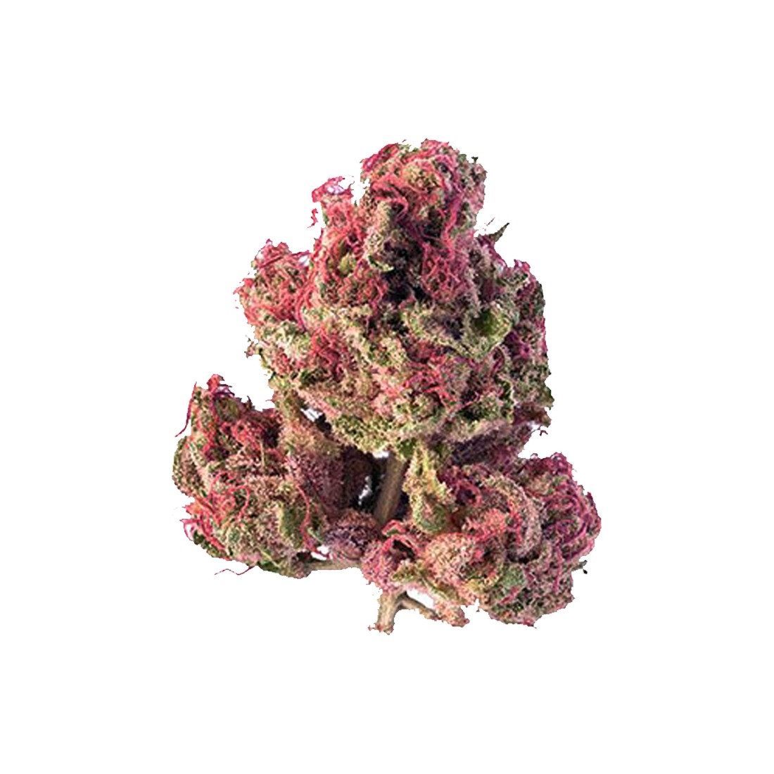 pink kush.jpg