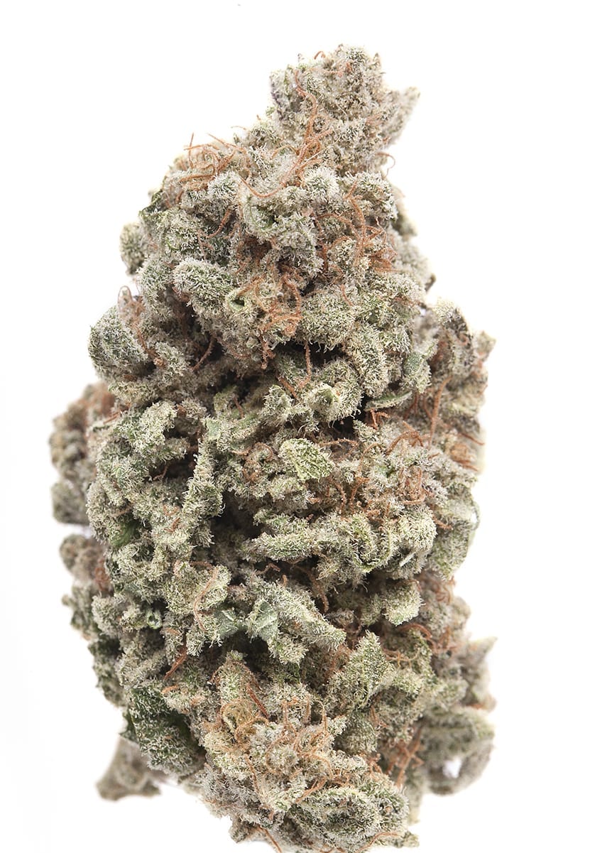 Berry-White-Cannabis-Strain.jpg