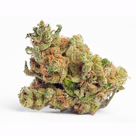 wol_g13-haze-strain_450x450.jpg