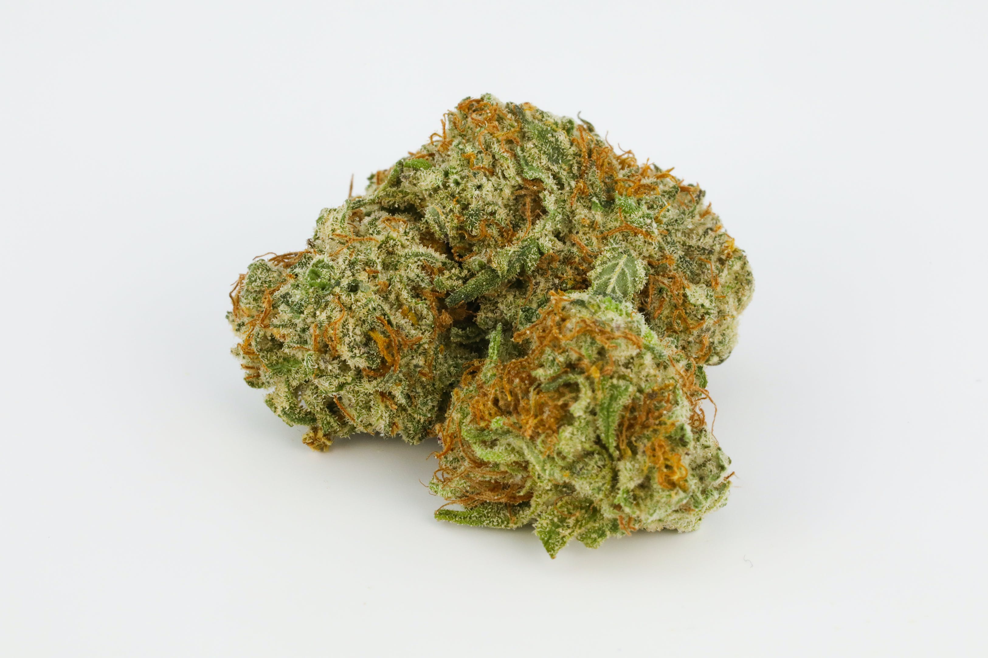 Bubblegum-Kush-Marijuana-Strain.jpg