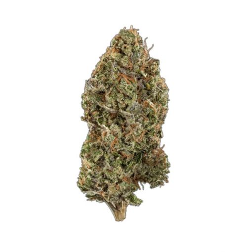 Gushers-strain-marijuana-delivery-510x510.jpg