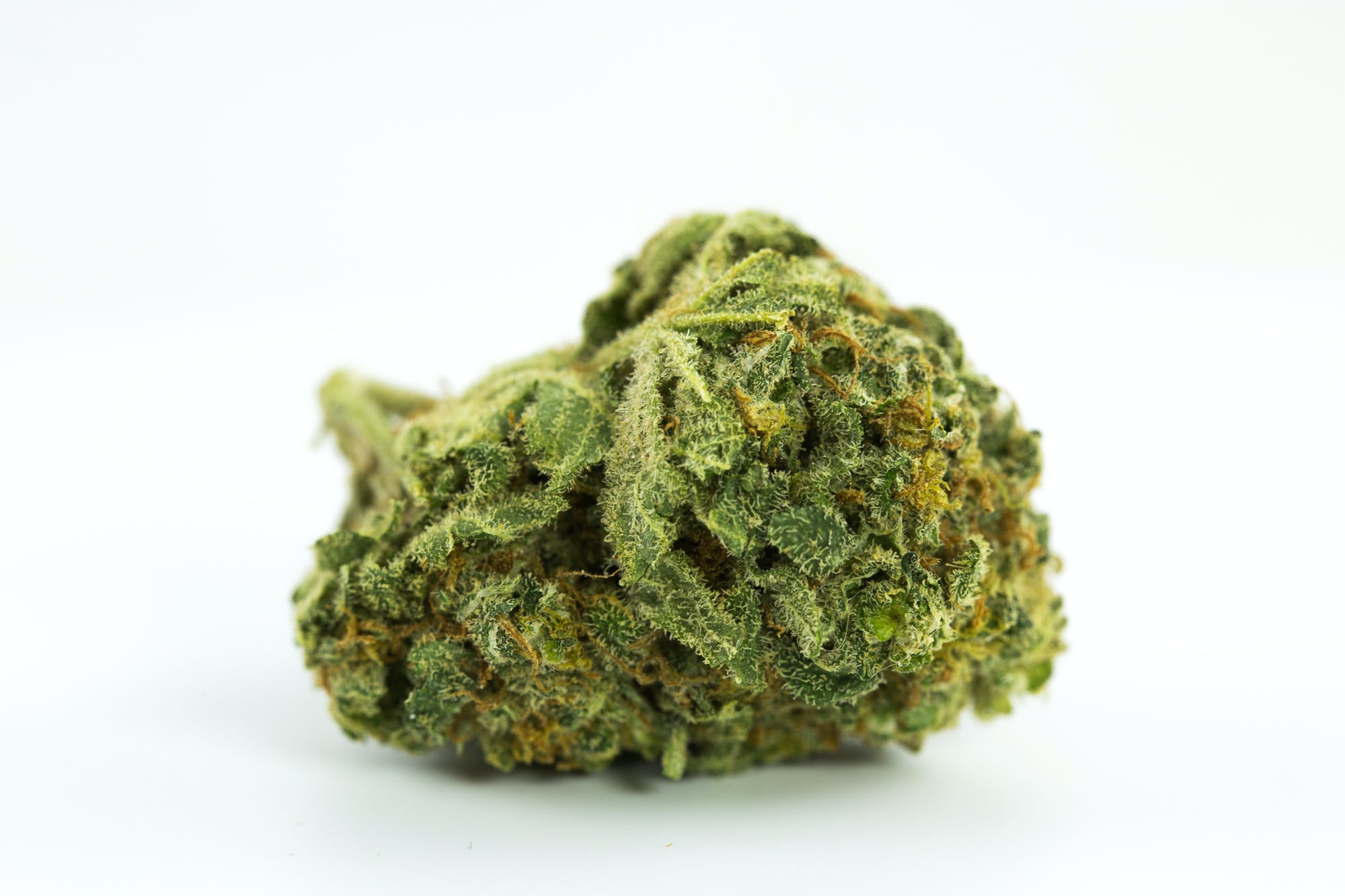 gods-gift-marijuana-strain.jpg