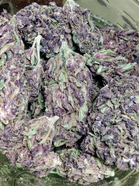 Granddaddy Purple.jpg